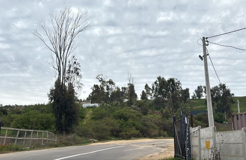 Terreno en esquina | 5.800 m², Limache